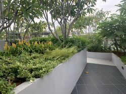 Harbour View Gardens (D5), Apartment #467677961